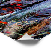 Great Smoky National Park Perfect Poster (Hoek)