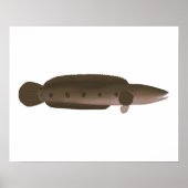 Great Snakehead Poster (Voorkant)