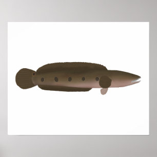 Great Snakehead Poster