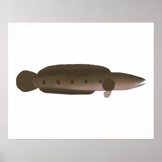 Great Snakehead Poster (Voorkant)
