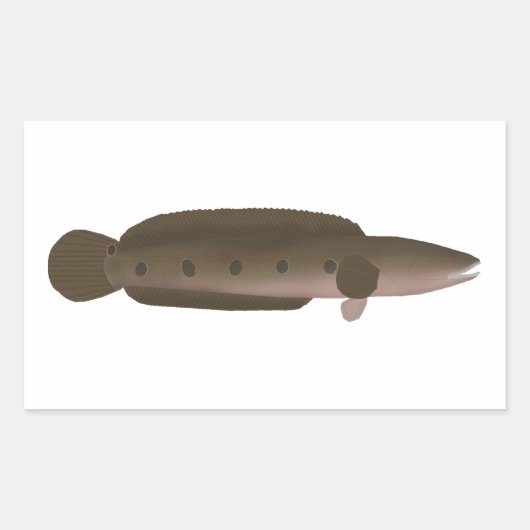 Great Snakehead Rechthoekige Sticker (Voorkant)
