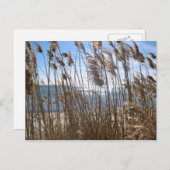 Great South Bay op Blue Point, NY Briefkaart (Voorkant / Achterkant)