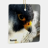 Great Spirit Bluff Falcons: Newman Keramisch Ornament (Rechts)