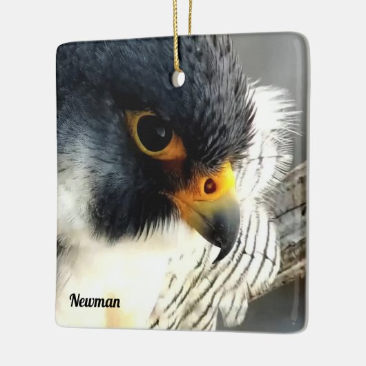 Great Spirit Bluff Falcons: Newman Keramisch Ornament (Links)