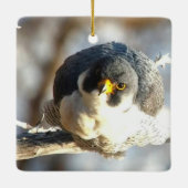 Great Spirit Bluff Falcons: Newman Keramisch Ornament (Achterkant)