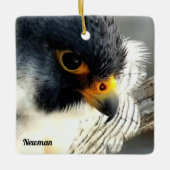 Great Spirit Bluff Falcons: Newman Keramisch Ornament (Voorkant)