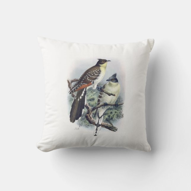 Great Spoted Cuckoo Bird Pillow Kussen (Voorkant)