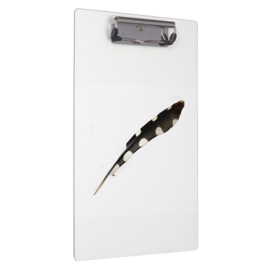 Great Spotted Woodpecker Feather Clipboard Klembord