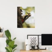 Great Spotted Woodpecker Fine Art Nature Poster (Thuiskantoor)