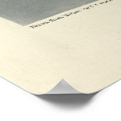 Great Tern, Common Tern - Audubon Birds of America Poster (Hoek)