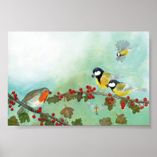 Great Tit Birds, Red Robin en Hawthorn Berries Poster (Voorkant)