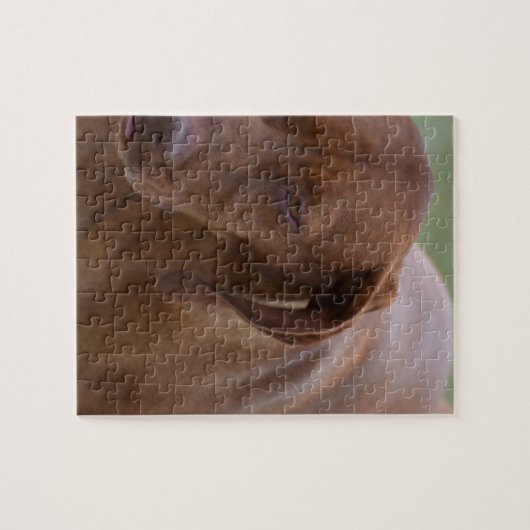 Great Vizsla Dog Legpuzzel (Horizontaal)