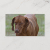 Great Vizsla Dog Visitekaartje (Achterkant)