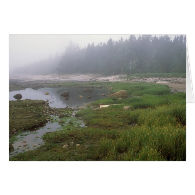 Great Wass Island Maine (Voorkant Horizontaal)