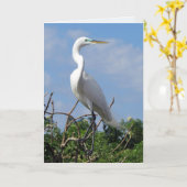 Great White Egret (0848) Kaart (Gele Bloem)