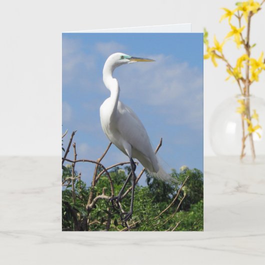 Great White Egret (0848) Kaart (Gele Bloem)