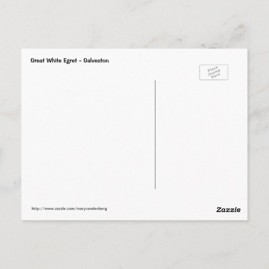 Great White Egret Briefkaart (Achterkant)