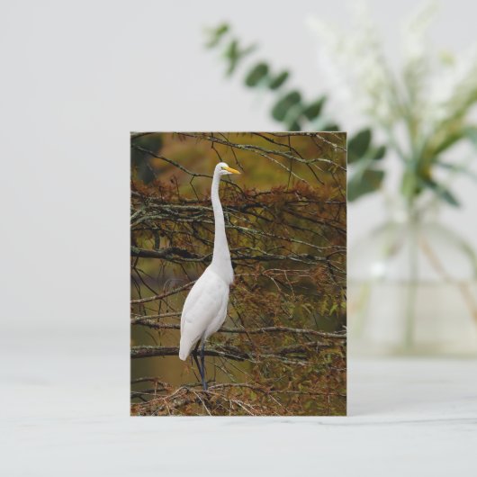 Great White Egret Fall Leaves Briefkaart (Staand voorkant)