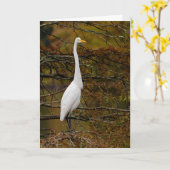 Great White Egret Fall Leaves Wenskaart Kaart (Gele Bloem)