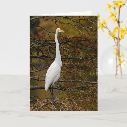Great White Egret Fall Leaves Wenskaart Kaart (Gele Bloem)
