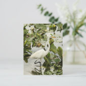 Great White Egret Photo Briefkaart (Staand voorkant)