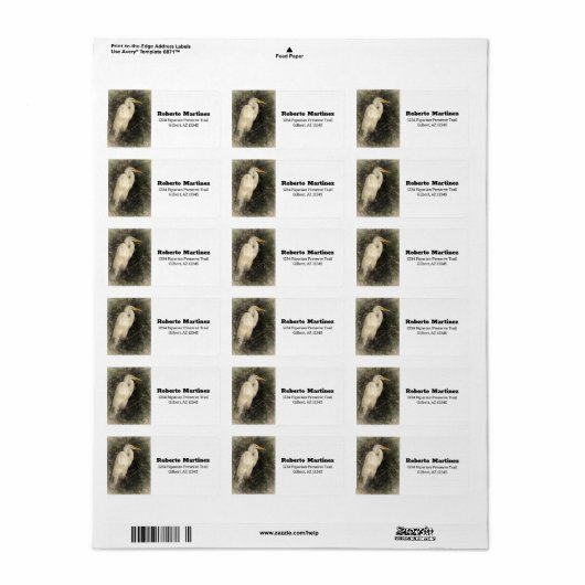 Great White Egret Water Bird Digital Art Painting Etiket (Full Sheet)