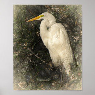 Great White Egret Water Bird Digital Art Painting Poster