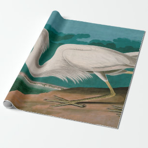 Great White Heron Birds of America Audubon Print Cadeaupapier
