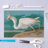 Great White Heron Birds of America Audubon Print Tissuepapier (Craft)
