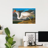 Great White Heron door John James Audubon Poster (Thuiskantoor)