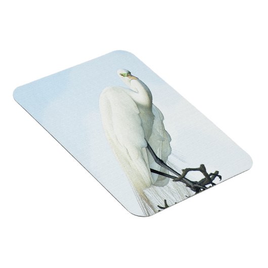 Great White Heron Portrait Magneet (Rechterzijde)