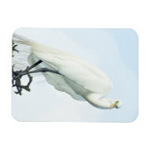 Great White Heron Portrait Magneet (Horizontaal)