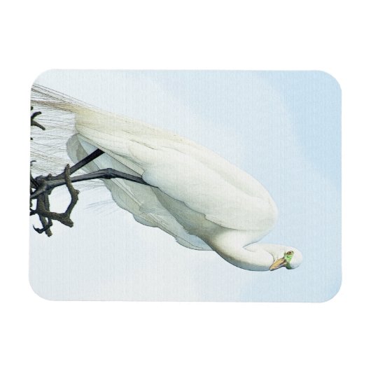 Great White Heron Portrait Magneet (Horizontaal)
