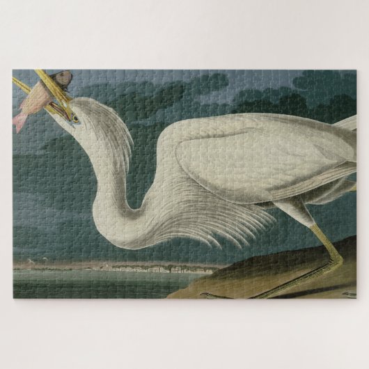 Great White Heron, van Audubon's Birds of America Legpuzzel (Horizontaal)