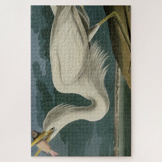 Great White Heron, van Audubon's Birds of America Legpuzzel (Verticaal)