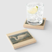 Great White Heron, van Audubon's Birds of America Stenen Onderzetter (Zijkant)