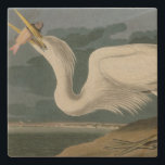 Great White Heron, van Audubon's Birds of America Stenen Onderzetter<br><div class="desc">Bord 281 Great White Heron (Great Blue Heron, Ardea herodias) van John James Audubon. Dit afbeelding werd met een zeer hoge resolutie rechtstreeks uit het oorspronkelijke boek, The Birds of America, gescand door naturalist en schilder John James Audubon (gepubliceerd in secties tussen 1827 en 1838 als een serie). Het is...</div>
