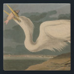 Great White Heron, van Audubon's Birds of America Stenen Onderzetter<br><div class="desc">Bord 281 Great White Heron (Great Blue Heron, Ardea herodias) van John James Audubon. Dit afbeelding werd met een zeer hoge resolutie rechtstreeks uit het oorspronkelijke boek, The Birds of America, gescand door naturalist en schilder John James Audubon (gepubliceerd in secties tussen 1827 en 1838 als een serie). Het is...</div>