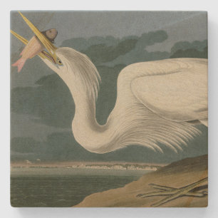 Great White Heron, van Audubon's Birds of America Stenen Onderzetter