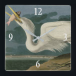 Great White Heron, van Audubon's Birds of America Vierkante Klok<br><div class="desc">Bord 281 Great White Heron (Great Blue Heron, Ardea herodias) van John James Audubon. Dit afbeelding werd met een zeer hoge resolutie rechtstreeks uit het oorspronkelijke boek, The Birds of America, gescand door naturalist en schilder John James Audubon (gepubliceerd in secties tussen 1827 en 1838 als een serie). Het is...</div>