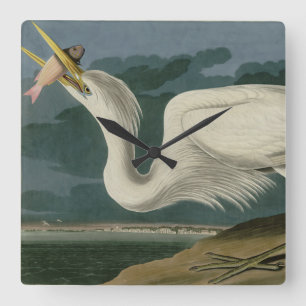 Great White Heron, van Audubon's Birds of America Vierkante Klok