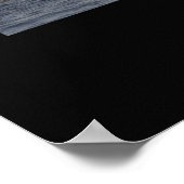 Great White neemt zegel Poster (Hoek)