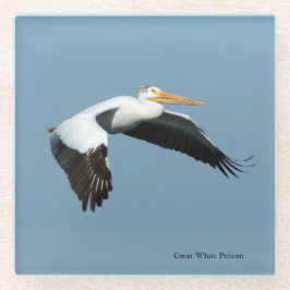 Great White Pelican glass onderzetter