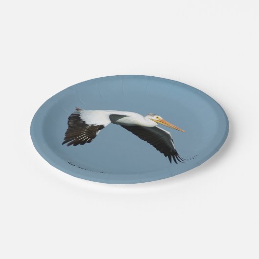 Great White Pelican paper bord (Gekanteld)