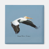 Great White Pelican sky magnet (Voorkant)