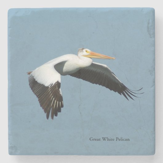 Great White Pelican stone onderzetter (Voorkant)