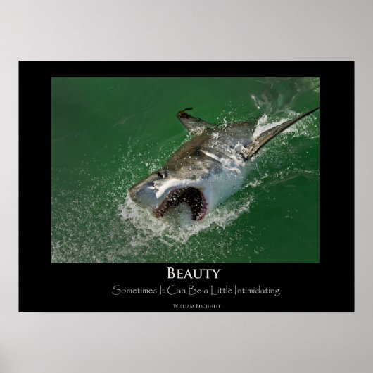 Great White Shark "Beauty"-Poster Poster (Voorkant)