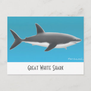 Great White Shark Briefkaart