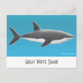 Great White Shark Briefkaart (Voorkant)