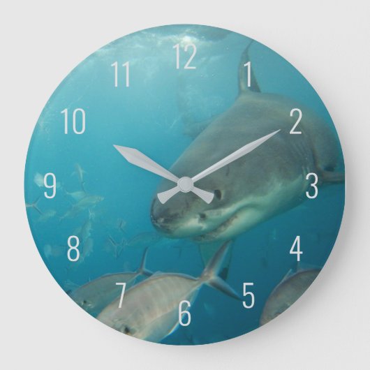 Great White Shark Close Up Underwater Australia Grote Klok (Voorkant)